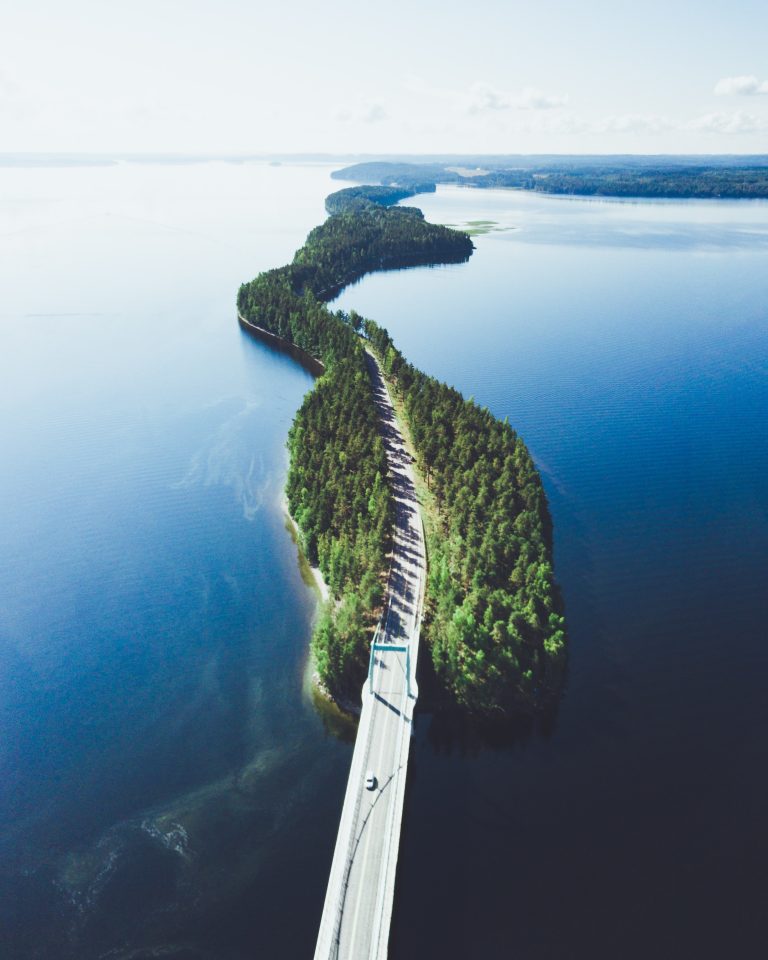 Metsäpolku kesäisessä valossa